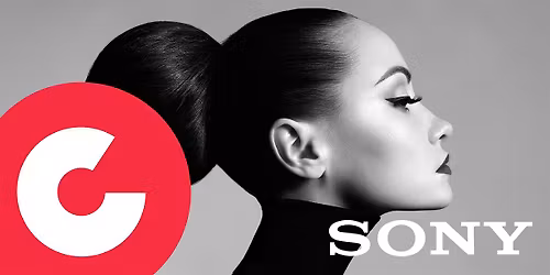 Portrait-Tag Hannover: Nat\u00fcrliches Licht sehen und nutzen