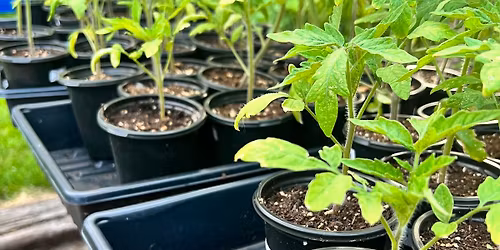 4th Annual Plant Sale - Last Weekend 