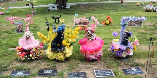 Parking Wild Kratts Live! - Charleston