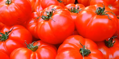 Cooking Class: Totally Tomatoes