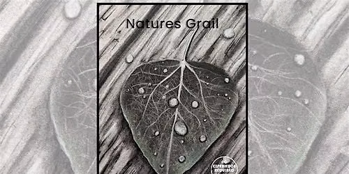 Charcoal Drawing Event "Natures Grail" in Stevens Point