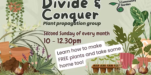 Divide and Conquer - Plant propagation group