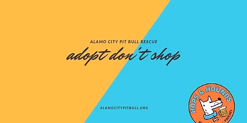 Pit Bull Awareness Month Kick Off! 