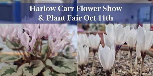AGS Harlow Carr Flower Show and Plant Fair