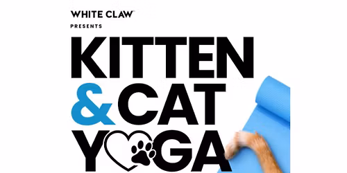 MEOWmaste Yoga!