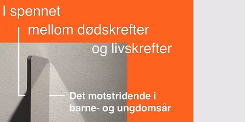 IBUP 35 \u00e5r - jubileumskonferanse
