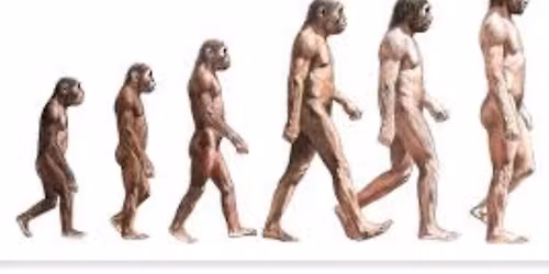 Home ed- Evolution 