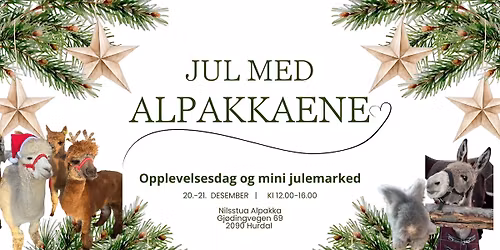 \ud83c\udf84\u2728 Jul med Alpakkaene \u2013 Opplevelsesdag & Mini-marked \u2728\ud83c\udf84