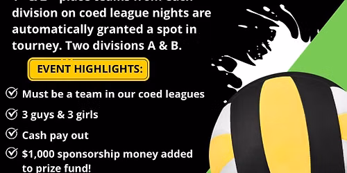 League of Leagues-Volleyball Tourney