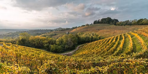 Italia - Friuli - vinsmaking for HoReCa