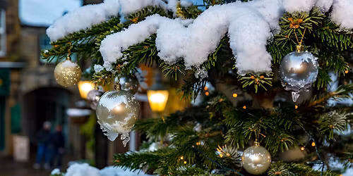 Christmas Lights Switch On