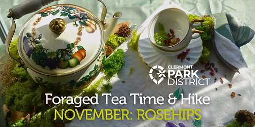 Foraged Tea Time & Hike: Rosehips