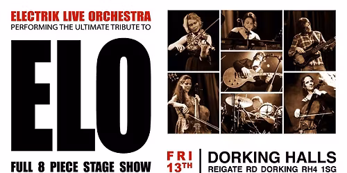 Electrik Live Orchestra, Live at Dorking Halls