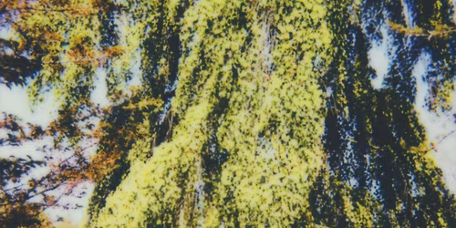 MARCIA au Quai des Brumes