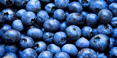 5th Annual Blueberry Fest - Melbourne