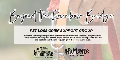 Beyond the Rainbow Bridge: Pet Loss Support Group