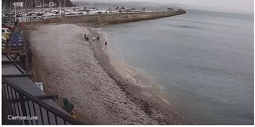 Tinsel and Turkey (Avoidance) dive.