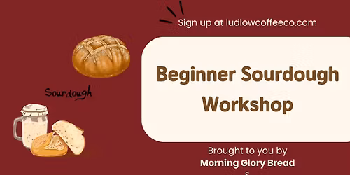 Beginner Sourdough Workshop