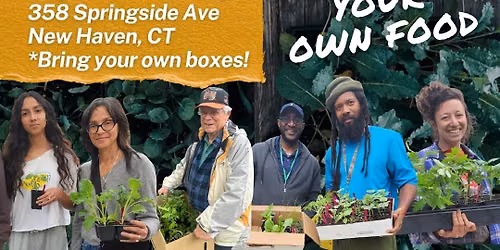 2027 Common Ground Seedling Sale & Seed Exchange