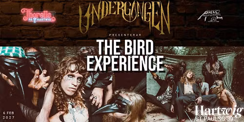 The Bird Experience (NL)