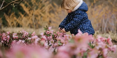 January Welly Walk - Sculpture in the Garden