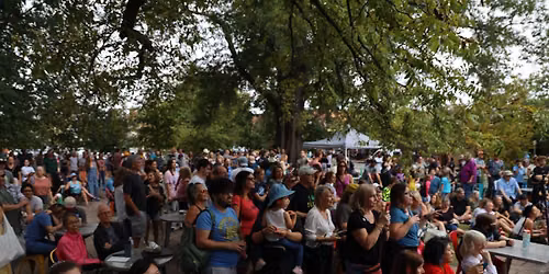 Carrboro Music Festival 