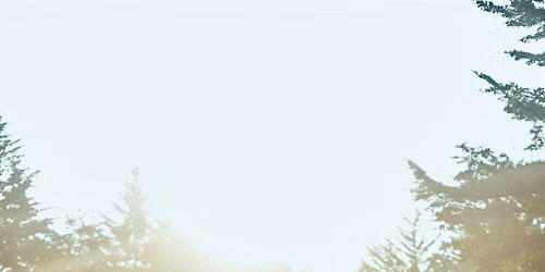 Wellness Wednesday: Evening Yoga - August 19