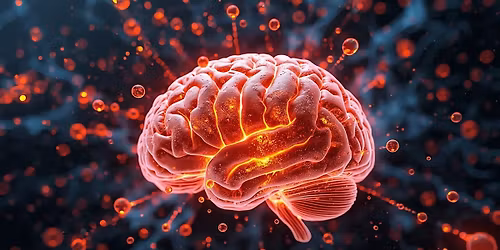 Neuroregeneration and Fatty Acids