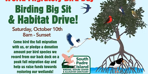 World Migratory Bird Day Big Sit and Habitat Drive