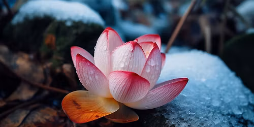 Our Whole Life as Practice: A Hybrid New Year's Householder Retreat with Yong Oh & Kate Siber