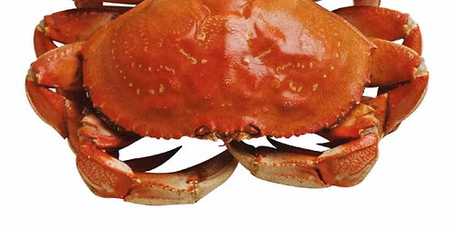 Bainbridge Crab Rally - Washington Airstream Club
