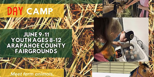 2026 Urban Ranchers Day Camp