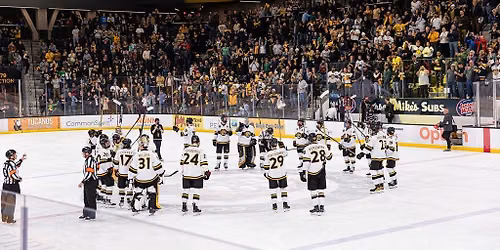 Colorado College Tigers Hockey