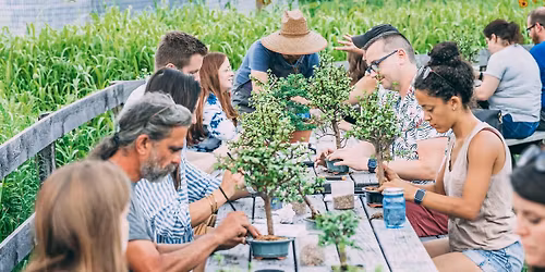 Bonsai Workshop at Chimba