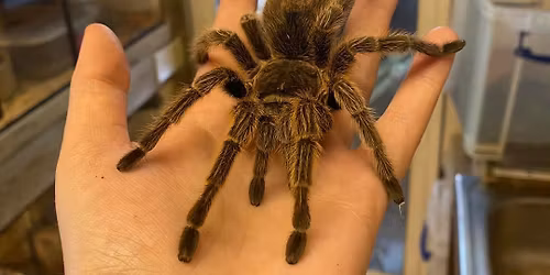 SNAKES ALIVE PETTING ZOO