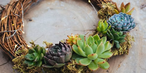 Succulent Holiday Wreaths @ Littleton Brewing Company.