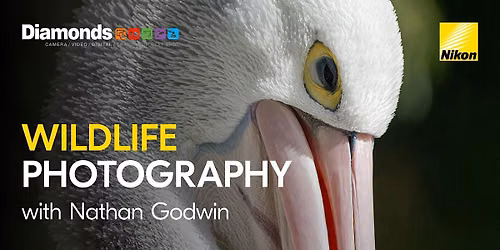 The Art of Wildlife Photography with Nathan Godwin