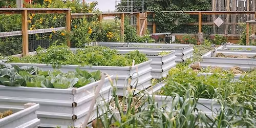 Grayling Homestead Expo