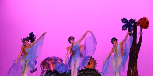 Insectos \u2013  Presented by The Rosemary Youth Ballet at OnyxStudio2