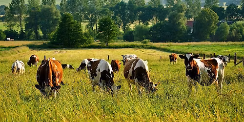 [Produrable] Financer la transition agro\u00e9cologique sur le terrain