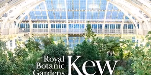 Temperate House Yoga Experience at The Royal Botanic Gardens, Kew