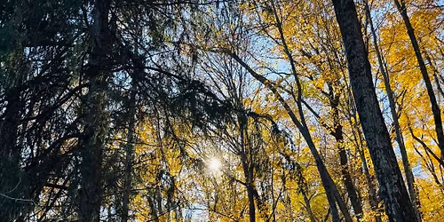 Sacred Balance Equinox Yoga Retreat 
