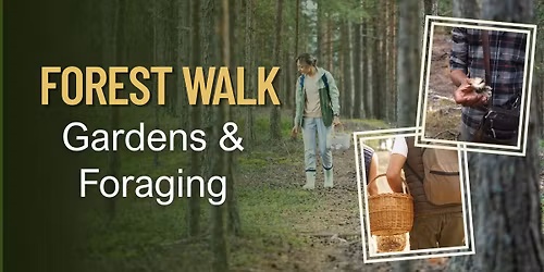 Forest Walk - Gardens & Foraging