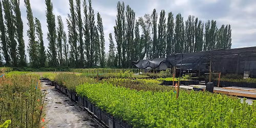 Native Plants Nursery Tour