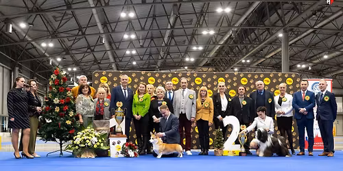 n\u00e1rodn\u00ed v\u00fdstava ps\u016f V\u00e1no\u010dka 2025