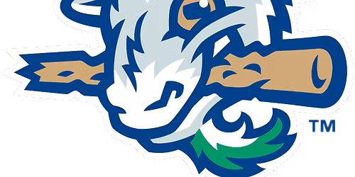 Erie Seawolves at Hartford Yard Goats at Dunkin Donuts Park