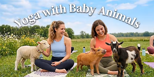 Mother's Day Yoga with Baby Animals (Baby goats, piglets, & lambs) May 16th