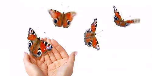 Somatic Coaching - Stockholm