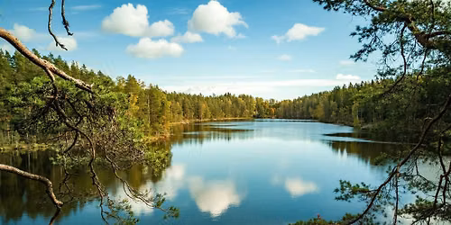 FREE Finnish Language Night