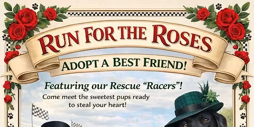 Run For The Roses Adopt A Best Friend